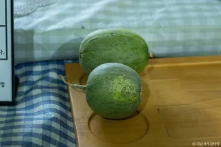 야미야미팜(야미야미팜농업회사법인(주))