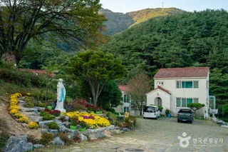 성모솔숲마을
