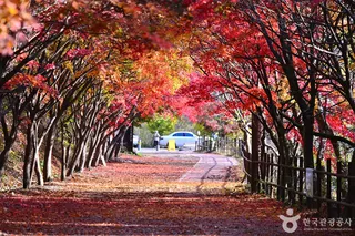 풍암정