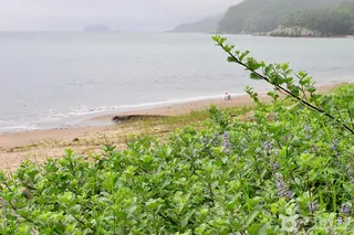 우두해변
