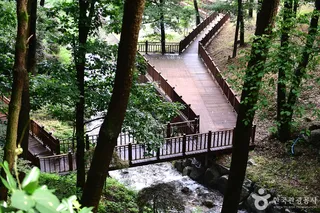 백운산치유의숲