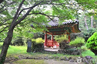 대전리 석불입상