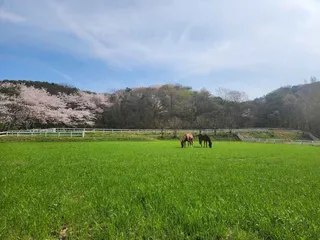 송산목장