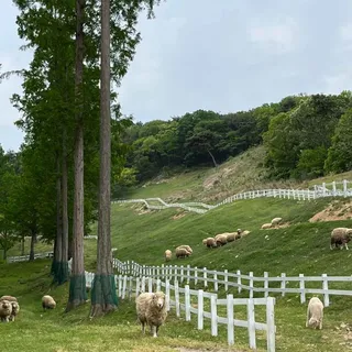 송산목장