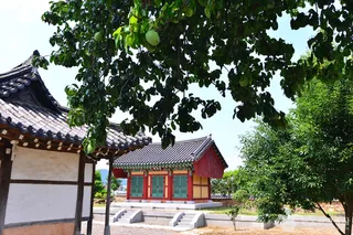 죽연사