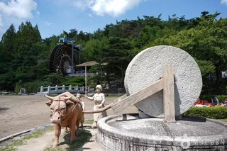 물레방아광장