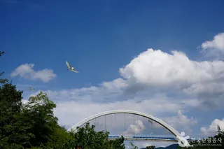 물너울공원