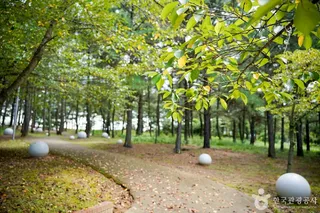 물너울공원
