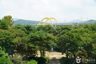 밤섬유원지