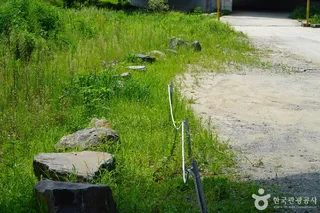 밤섬유원지