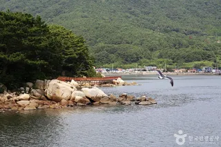후릿개다리