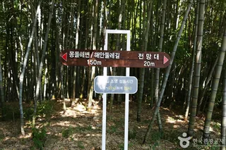 상상산책길