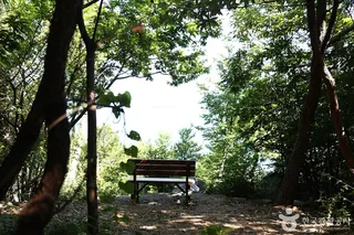 상상산책길