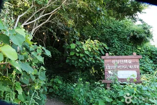 상상산책길