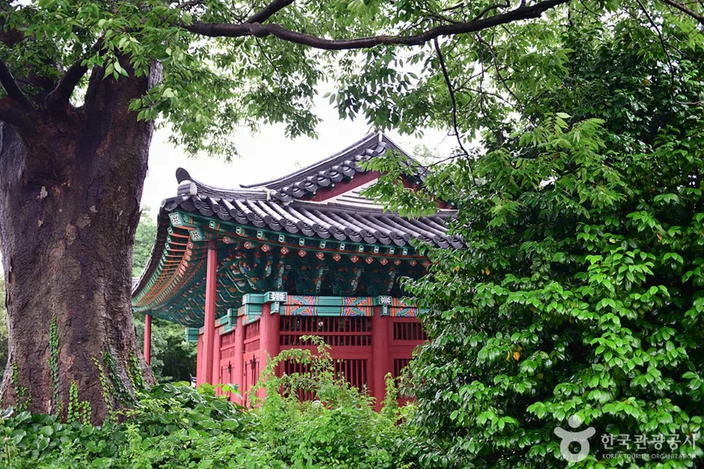 고소대