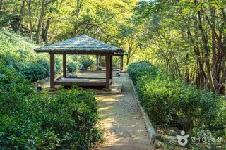 구례 장죽전 녹차시배지
