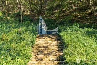구례 장죽전 녹차시배지