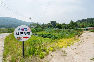 울미연꽃마을