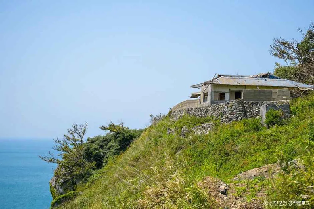 독실산