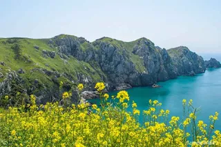 독실산
