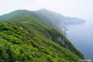 독실산