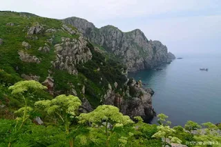 독실산