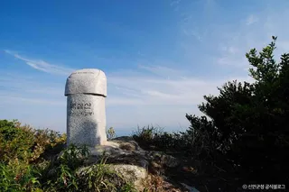 독실산