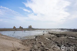제부리어촌체험마을