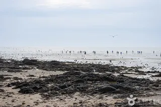제부리어촌체험마을