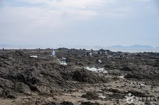 제부리어촌체험마을