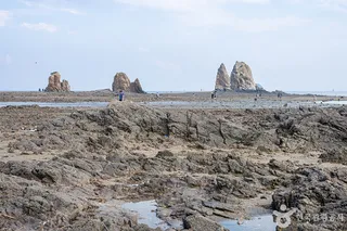 제부리어촌체험마을