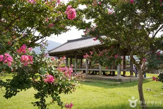 한밤마을 돌담길