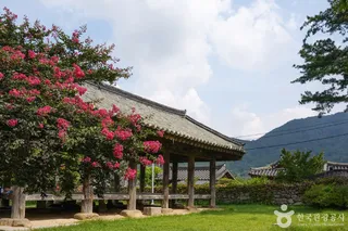 한밤마을 돌담길