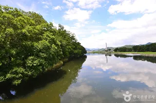 화순동복연둔리숲정이