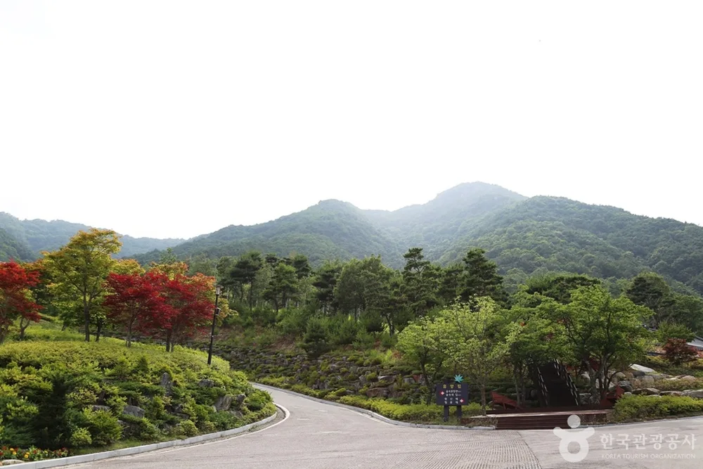 동의보감촌한방자연휴양림