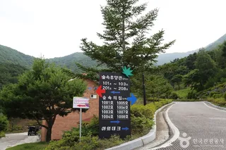 동의보감촌한방자연휴양림