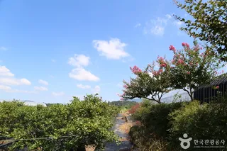 두루팜