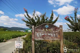 두루팜