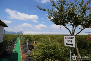 두루팜