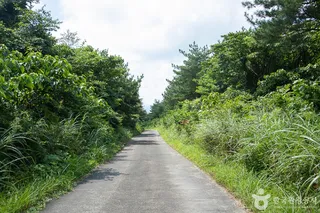 수망리 마흐니숲길
