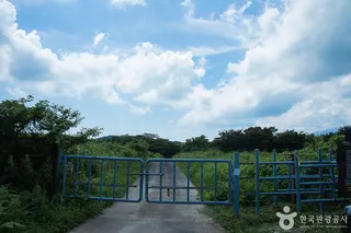 수망리 마흐니숲길