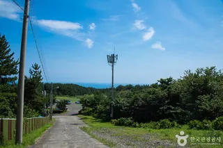 편백포레스트