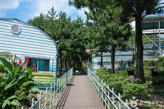 편백포레스트