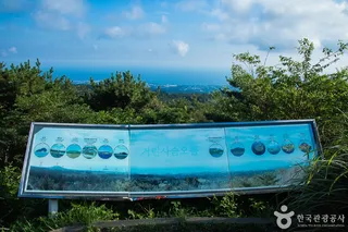 거린사슴전망대