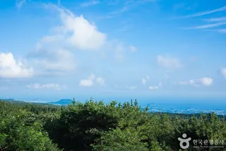 거린사슴전망대