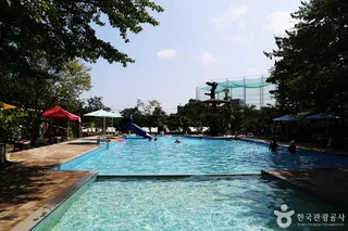 카덴96