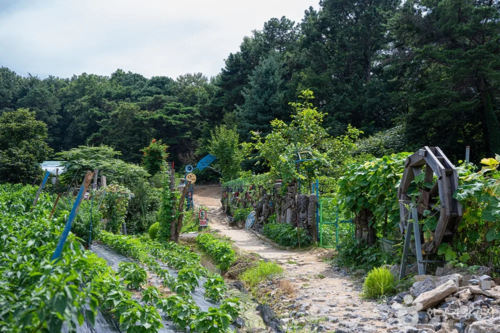 서봉산산림욕장
