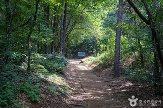 서봉산산림욕장