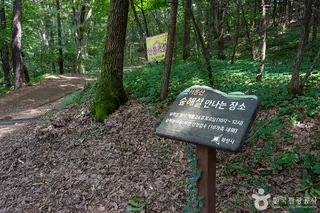 서봉산산림욕장