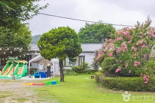 초록향기